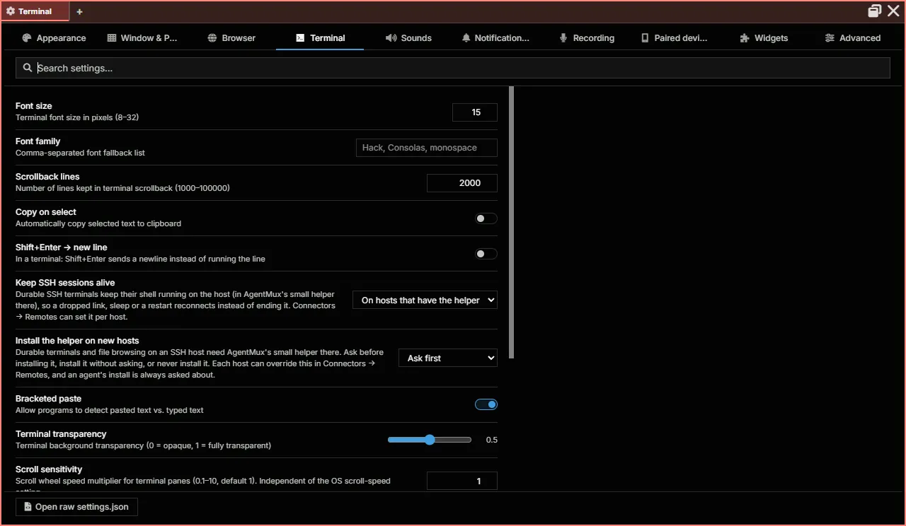 Settings, Terminal tab
